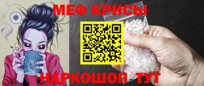 сатива Кингисепп