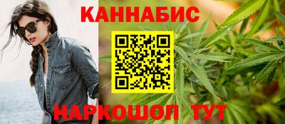 сатива Кингисепп