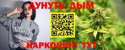 сатива Кингисепп