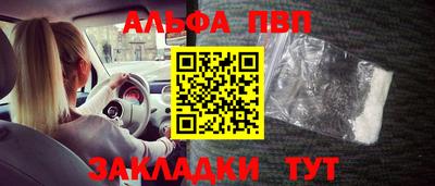 сатива Кингисепп