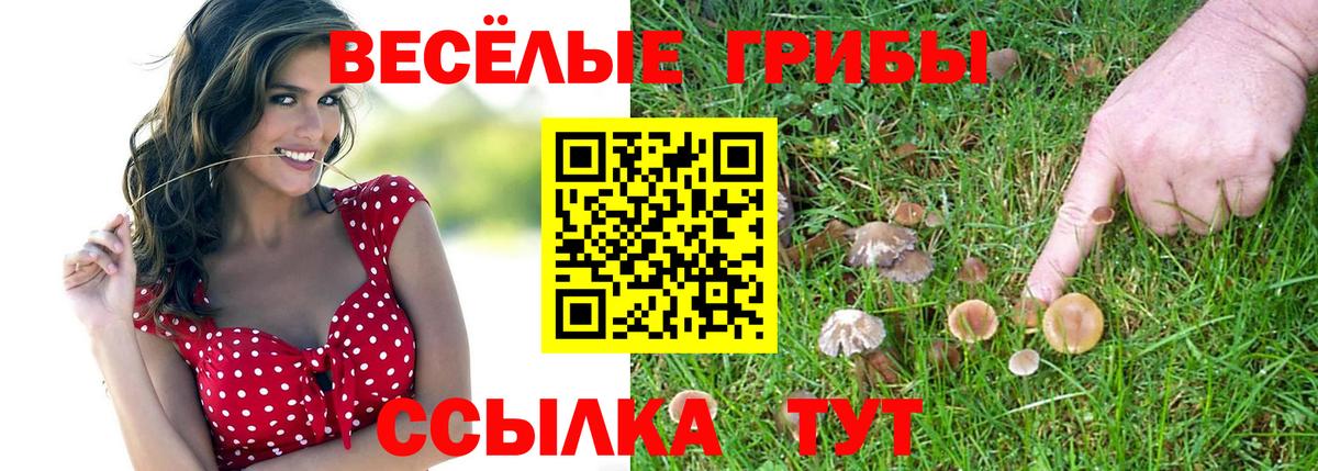 Псилоцибиновые грибы ЛСД  Псилоцибиновые грибы Psilocybe  Междуреченск  Вход с VPN 
